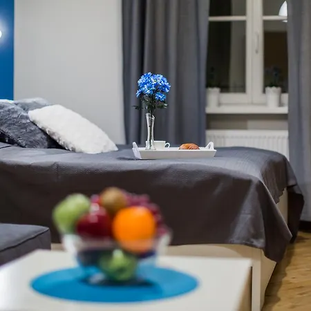 All In Siemiradzkiego Apartment *